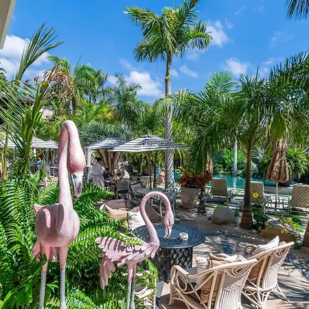 Hotell Royal River, Luxury - Adults Only